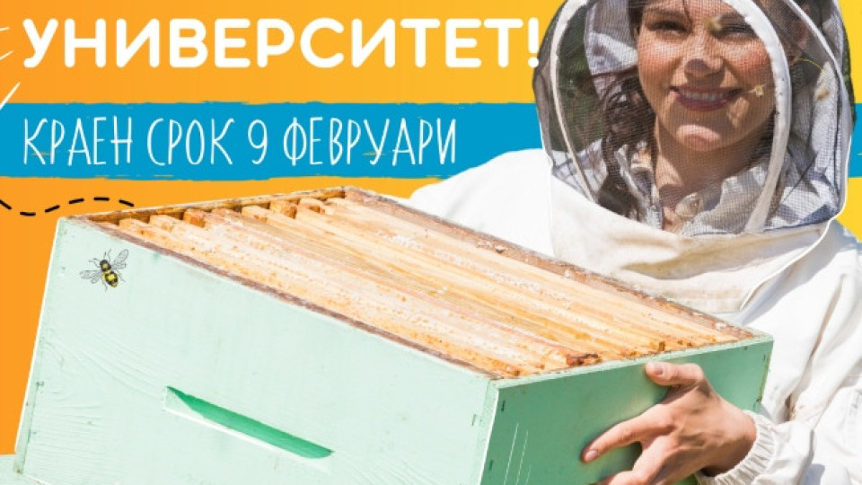 Остават 10 дни за записване в „Пчеларски университет“ - първото любителско училище за пчелари | StandartNews.com