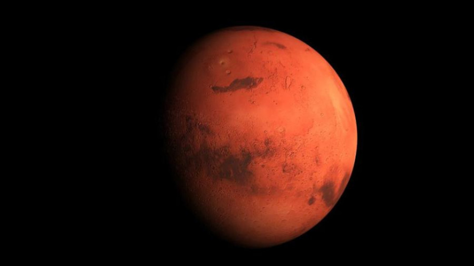 Не е за вярване! Мечка на Марс (УНИКАЛНА СНИМКА) | StandartNews.com