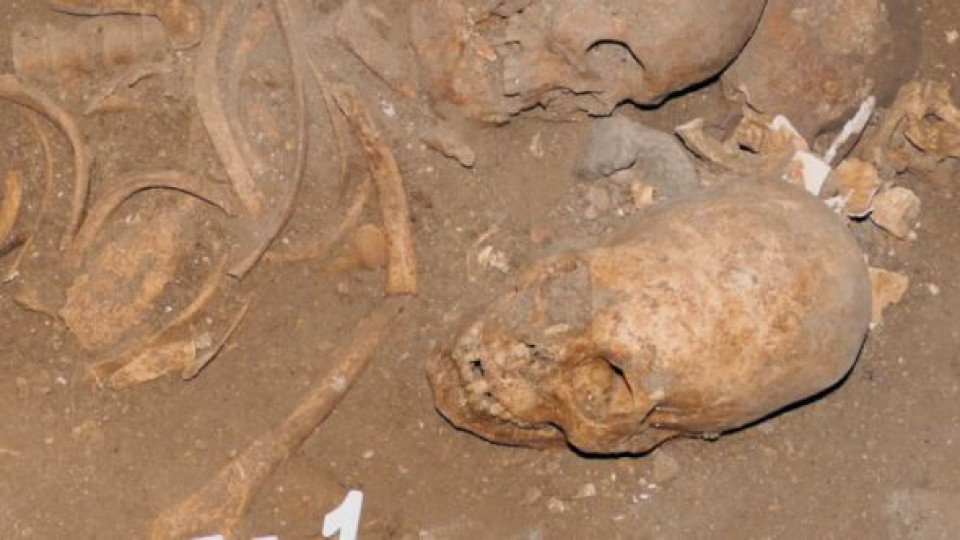 Откраднаха уникален череп на 2000 години | StandartNews.com