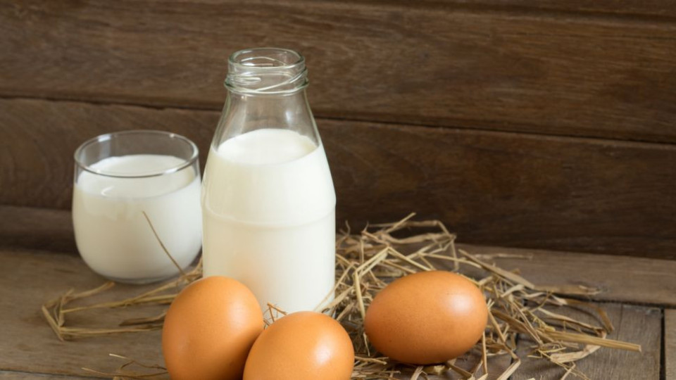 Мрежата завря! Яйца и мляко в бедна Враца по-скъпи, отколкото в Париж | StandartNews.com
