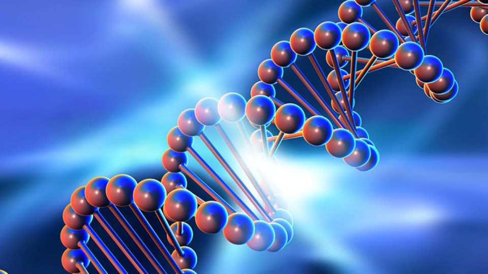 Тайната на гените. Защо някои болести бягат от нас? | StandartNews.com