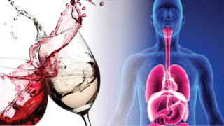 Какво прави 1 чаша вино с организма
