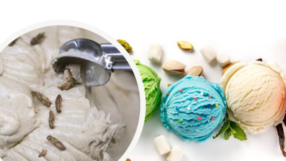"Изненадващо вкусен!" Пуснаха сладолед с вкус на щурец | StandartNews.com