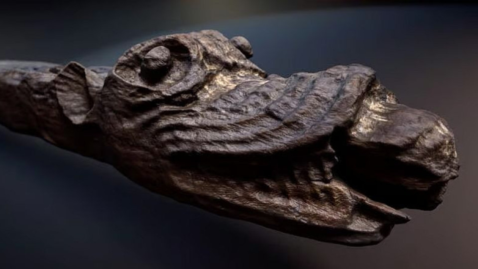 Археолози извадиха неочаквана находка от кралски кораб | StandartNews.com