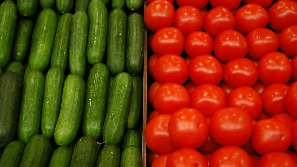 Дългоочаквани новини за доматите и краставиците | StandartNews.com