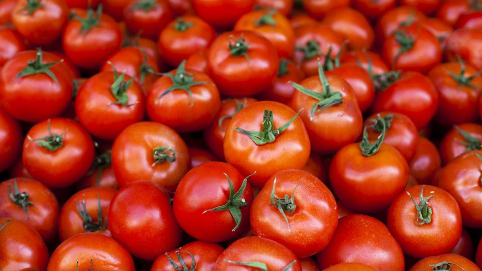 Нова драма с доматите, всички са в ужас | StandartNews.com