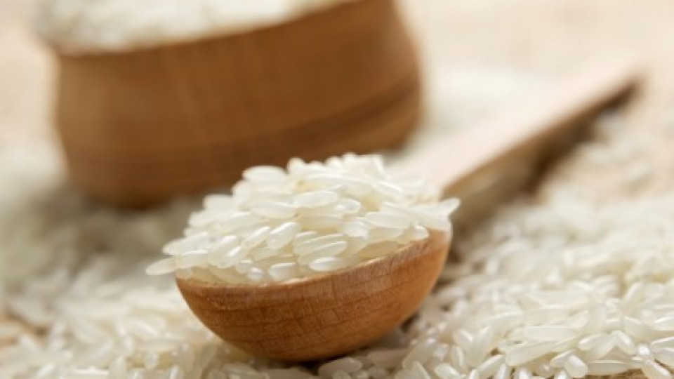 Фалшив ориз на пазара. Истина ли е? | StandartNews.com