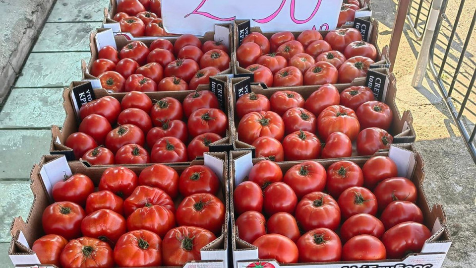 Търговец побърка веригите! Ето как продава доматите | StandartNews.com