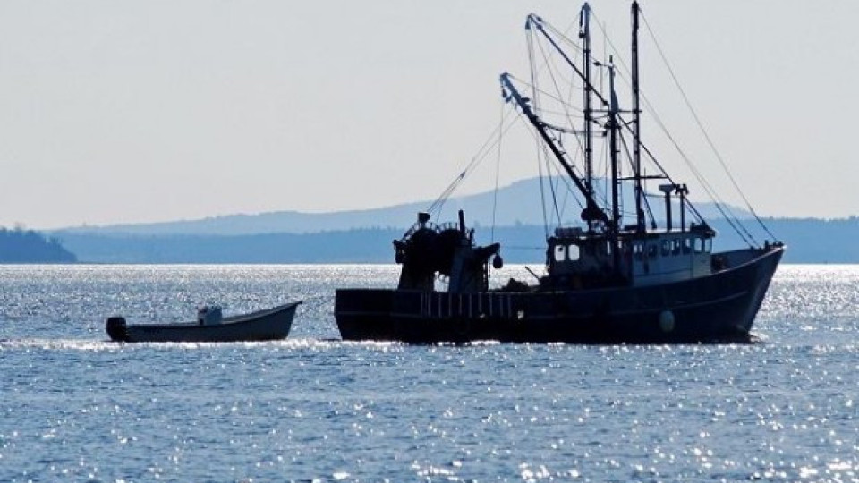Голяма беля! Три наши кораба арестувани в Румъния | StandartNews.com