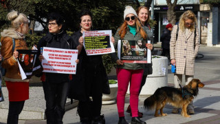 Протест срещу насилието събра стопани и любители на животните