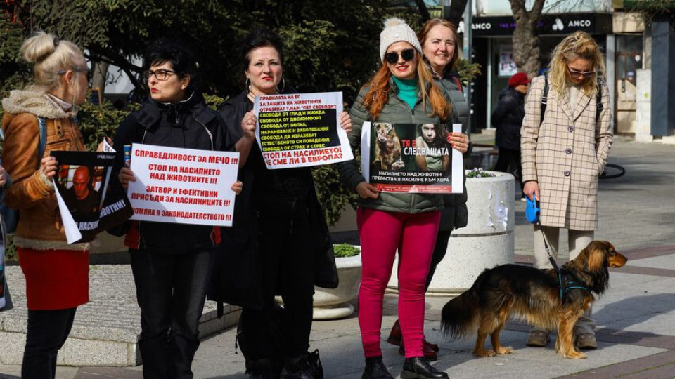 Протест срещу насилието събра стопани и любители на животните | StandartNews.com