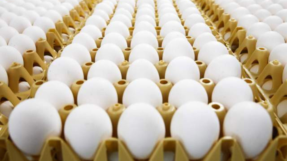 Ето как да проверим дали яйцата са годни за консумация | StandartNews.com
