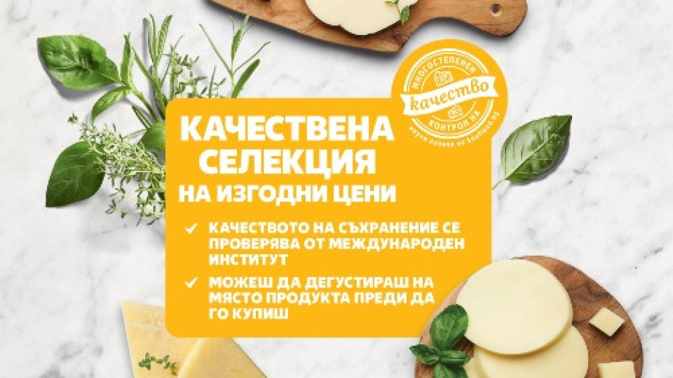 Над 30 вида сирена и кашкавали с намаление до 30% тази седмица в Kaufland | StandartNews.com