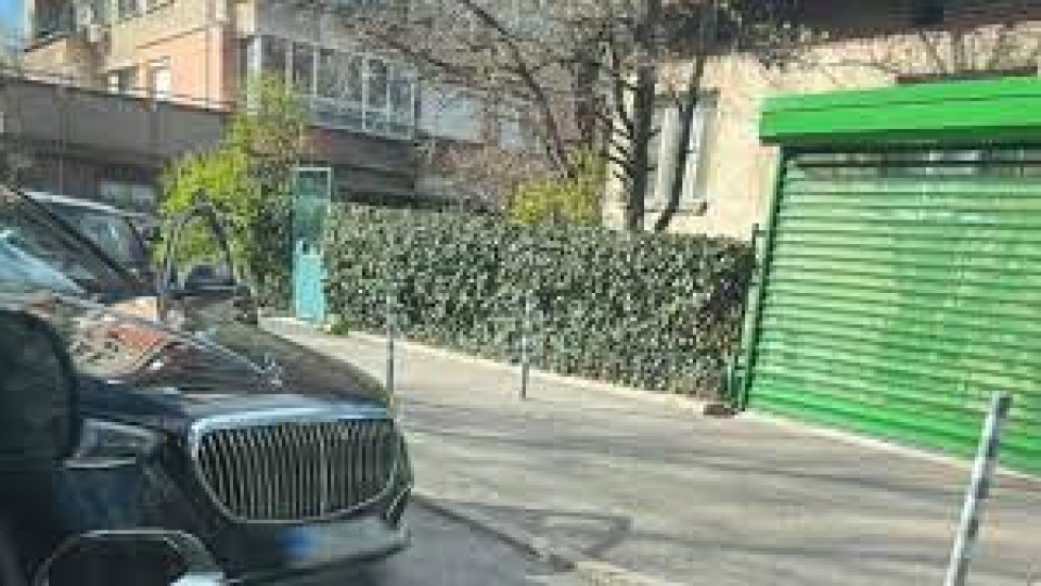 Кошмар по улиците! Ето кой вилнее в София | StandartNews.com