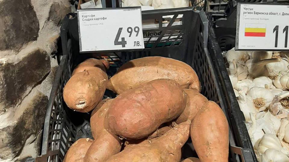 Къде изчезна родопският картоф? В магазина made in USA по 5 лв. килото | StandartNews.com