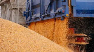 Министерството на земеделието реши за украинското зърно