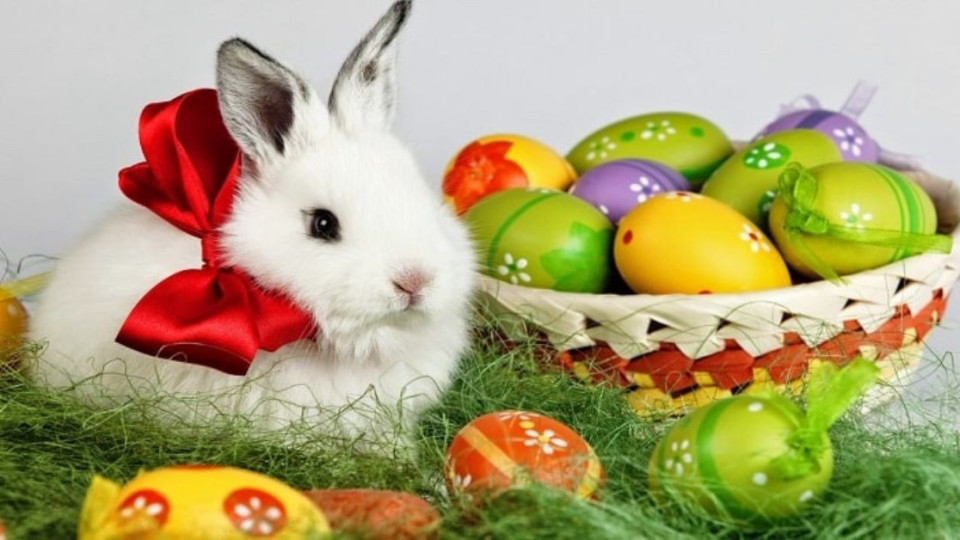 Защо заекът носи великденските яйца? Езически символ | StandartNews.com