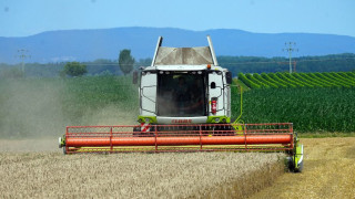 Тежки загуби за зърнопроизводителите. Държавата иде на помощ