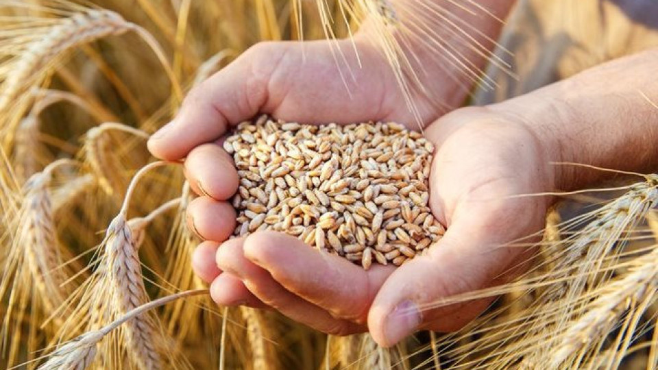 Русия постави ултиматум за зърнената сделка | StandartNews.com