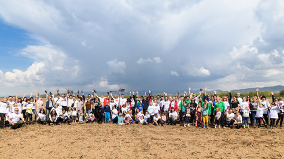 Доброволци от Пощенска банка засадиха над 2000 фиданки в Международния ден на Земята | StandartNews.com