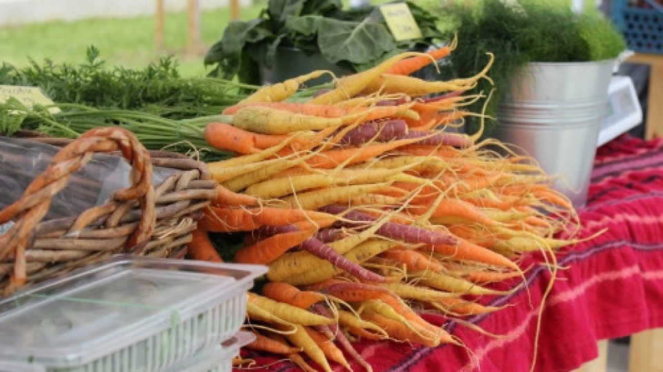 Фермерските пазари на Lidl стартират този уикенд в София | StandartNews.com