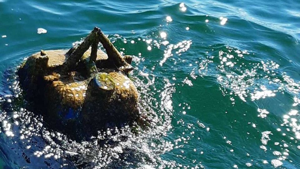 Нещо съмнително изплува в морето ни. Какво е то | StandartNews.com