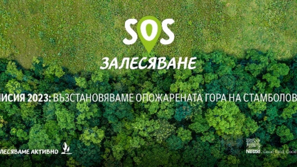 Нестле стартира „SOS Залесяване“. Възстановява опожарената гора в Стамболово | StandartNews.com