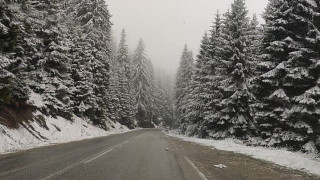 30 снегорина на магистралата. Битката със снега