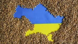 Извънредно от Украйна. Решението за Черно море