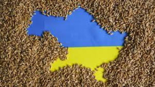 България с решителен ход за украинското зърно