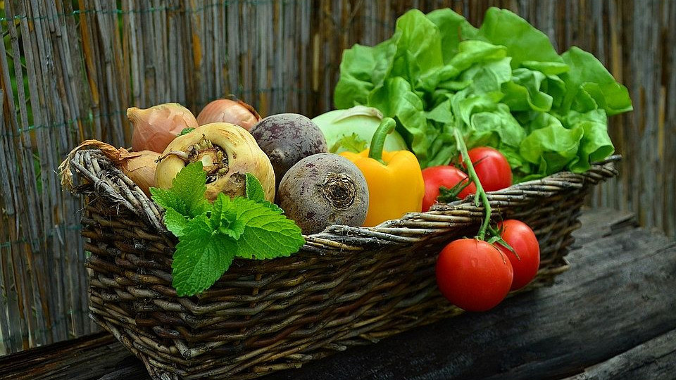 Вижте кои 6 зеленчука топят мазнините по корема | StandartNews.com