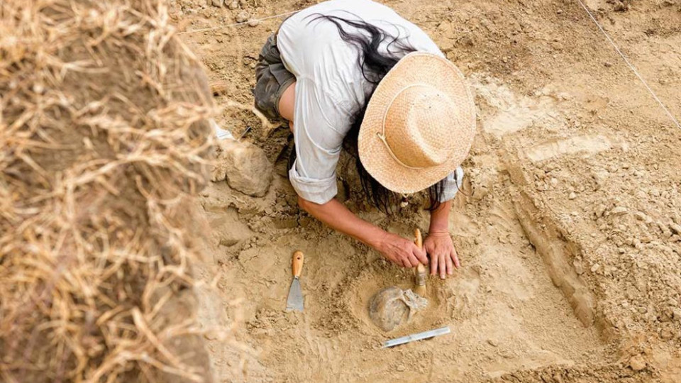 Сензация! Археолози с уникално откритие | StandartNews.com