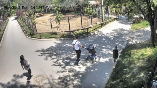 Позиция на Община Стара Загора по повод инцидент от 8 май в Зоопарка