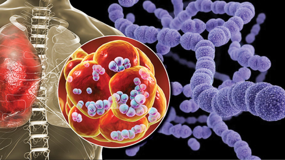 Бактериална инфекция отключва хипогликемия | StandartNews.com