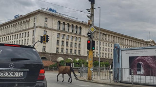 Столичани не вярват на очите си: В Дивия Запад ли сме?