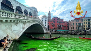 Венеция позеленя! Полицията разследва