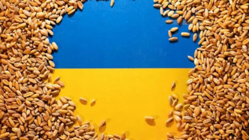 Вносът на зърно постави съмнения. Хърватия с условия | StandartNews.com