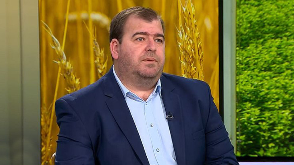 Земеделският министър попари производителите на зърно. Причината | StandartNews.com
