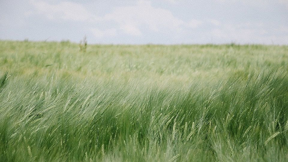 Седмицата започва с проблемно време, но вече се виждат горещите дни | StandartNews.com