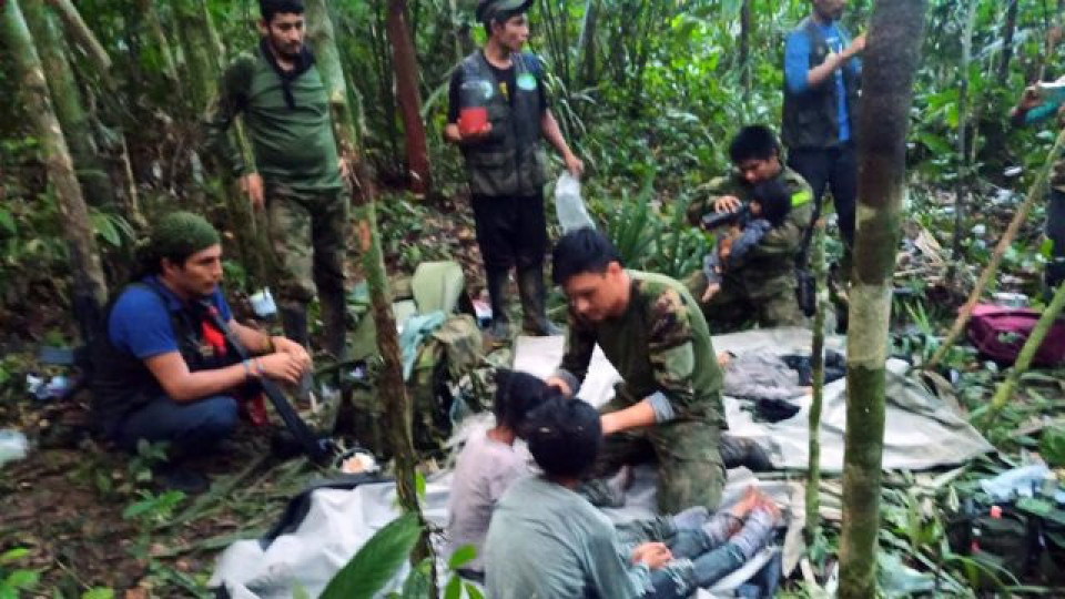 Самолет падна в джунглата. Чудо след 40 дни | StandartNews.com