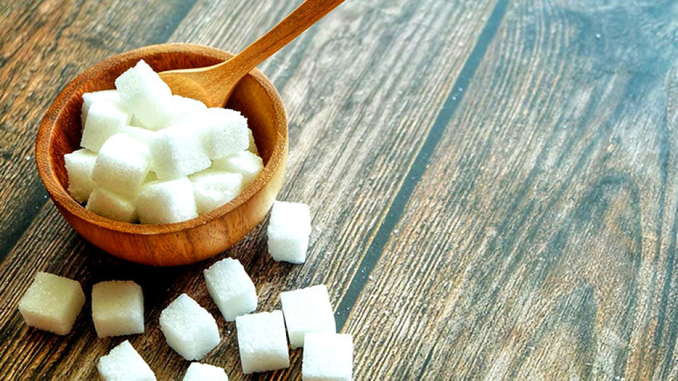 Няма малко вредна захар | StandartNews.com