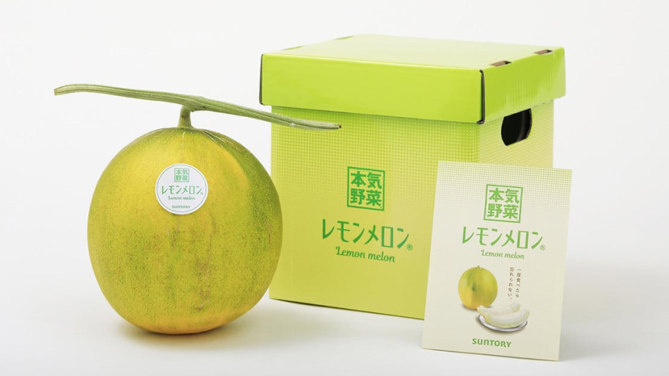 Японци отгледаха уникален нов вид плод | StandartNews.com