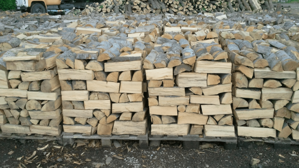 Важна новина за дървата за огрев. Цените | StandartNews.com