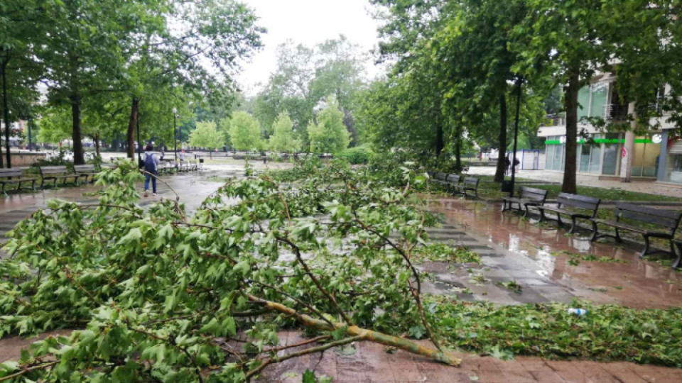 Бедствие удари старозагорско. Има съборени дървета и отнесени покриви | StandartNews.com