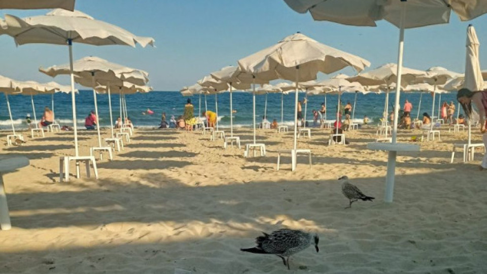 Гняв срещу плажа на Варна. Причината | StandartNews.com