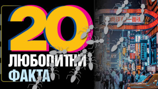 20 любопитни факта за света и живота