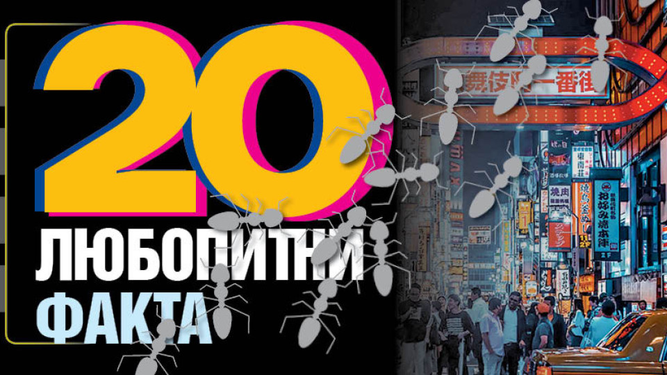 20 любопитни факта за света и живота | StandartNews.com