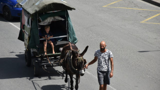 Целият свят следи пътя на това семейство. Какво стана в Ловеч?