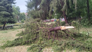 Страховит ураган порази наш град, какви са щетите