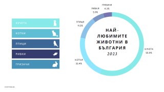 Ново проучване разкрива най-предпочитаните домашни любимци в България и тенденциите по света
